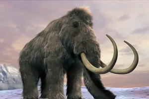 Sắp hồi sinh thành công voi ma mút?