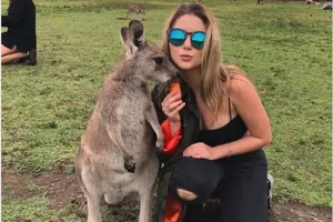 Kangaroo tấn công du khách để giành thức ăn