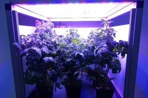 Sẽ có một vườn rau trên trạm vũ trụ ISS