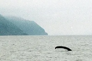 Bí ẩn quái vật hồ Loch Ness sắp có lời giải