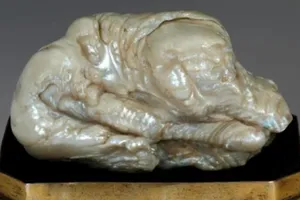 Ngọc trai 'sư tử ngủ' lớn nhất thế giới có giá 8,5 tỉ đồng