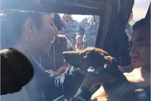 Rơi khỏi máy bay, chú chó sống sót trên hoang mạc 6 ngày