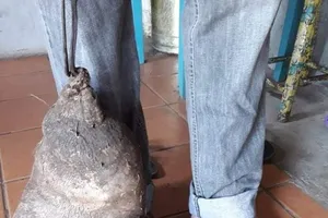  Lạ lùng củ khoai tây 8 kg, y hệt bàn chân người khổng lồ 