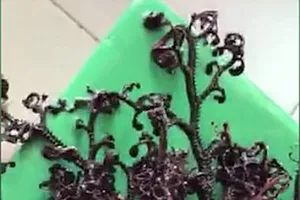 Báo Anh sửng sốt với sinh vật biển lạ ở Kiên Giang