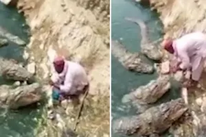 Lạnh người xem cụ già tay không cho cá sấu khổng lồ ăn mồi