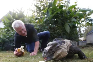 Choáng với người đàn ông sống chung với 400 loài bò sát