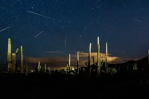 Đêm nay, người Việt có thể ngắm mưa sao băng