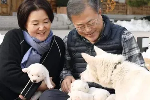 Tổng thống Hàn Quốc khoe 'quốc khuyển' ông Kim tặng sinh 6 con