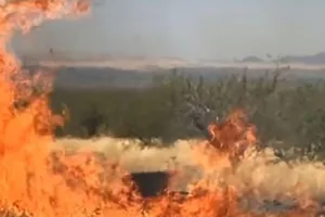 Tổ chức tiệc cho con, thiêu rụi 18.000 ha rừng