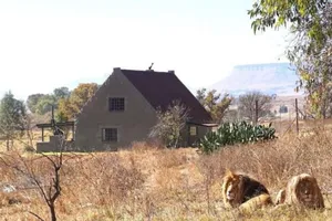 Trả tiền để sống chung với 77 con sư tử