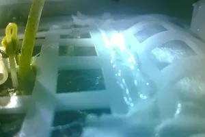 Trung Quốc trồng bông thành công trên Mặt Trăng