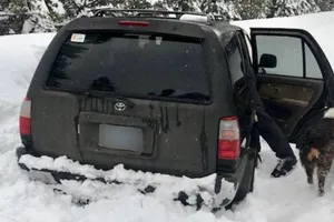 Thoát chết thần kỳ nhờ sốt taco sau 5 ngày kẹt trên xe ​