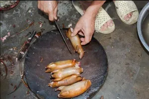 Khi nhà báo Tây thử món chuột đồng Việt Nam