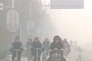 Video: Báo động về số người chết do ô nhiễm không khí 
