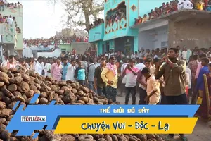 Video: Người Ấn Độ ném phân vào nhau để cầu may