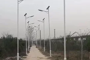 Dân hùa nhau dựng 1.000 cột đèn để lấy tiền đền bù mặt bằng