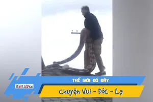 Video: Hoảng hồn phát hiện trăn 5,5m bò trên mái nhà