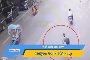 Video: Suýt chết vì ngỗng rơi trúng đầu khi đi trên đường