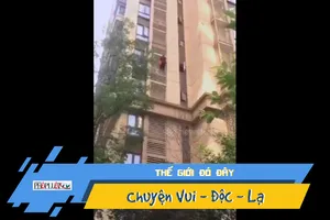 Video: Cụ bà 84 tuổi leo ra ngoài chung cư để... hóng gió trời