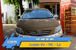 Video: Phủ bùn và phân bò lên xe để khỏi phải bật điều hòa