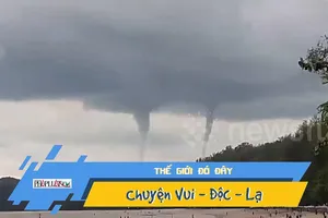 Video: Ngư dân hoảng hồn với lốc xoáy đôi