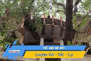 Video: Kỳ lạ cây trăm tuổi mọc xuyên căn nhà 4 tầng