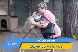 Video: Ngày đoàn tụ, chú chó ôm chặt chủ sau 2 năm đi lạc
