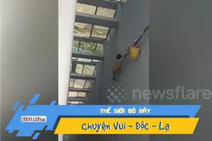 Hồi hộp giải cứu thợ xây đứt dây cáp, treo lơ lửng ở tầng 16