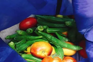 Hội chị em nội trợ 'mách nước' đi chợ không cần túi nylon