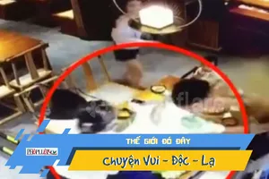 Giận vợ, tạt nguyên nồi lẩu nóng vào mặt người khác