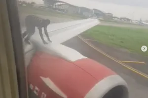 Hành khách hoảng loạn vì có người trèo ra cánh máy bay