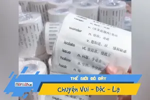 Giấy vệ sinh giúp học tiếng Anh gây sốt