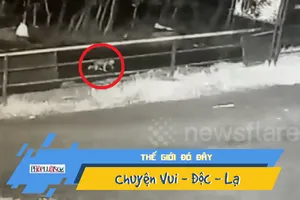 Bố mẹ đánh rơi con, 50km sau mới phát hiện