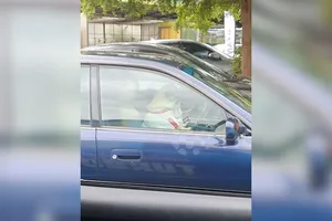 Chó nhấn còi xe báo động khi chủ đi ra ngoài quá lâu