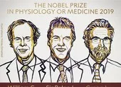 Công trình đạt Nobel Y học 2019 ảnh hưởng đến chúng ta ra sao?