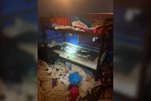 Tìm thấy ba đứa trẻ trong ngôi nhà ngập rác cùng 245 con vật