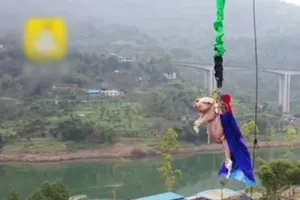Heo là con vật đầu tiên trên thế giới nhảy bungee. Ảnh: 