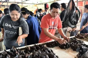 Các loài động vật hoang dã được bày bán công khai tại khu chợ Tomohon, Bắc Sulawesi, Indonesia. Ảnh: BLOOMBERG