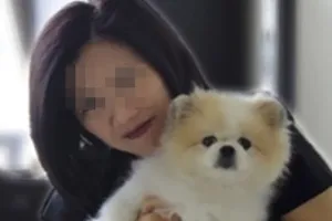 Chú chó giống Pomeranian hiện sẽ được cách ly và kiểm tra liên tục cho đến khi âm tính với virus. Ảnh: FACEBOOK