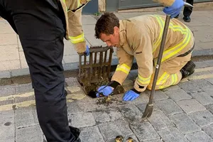 Hai lính cứu hỏa đã giải cứu thành công bốn chú vịt con. Ảnh: SWNS