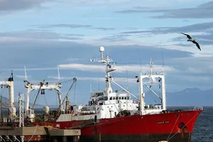 Một nhóm chuyên gia đang kiểm tra thời điểm các thuyền viên xuất hiện triệu chứng để xác định thời gian ủ bệnh. Ảnh: WIKIMEDIA COMMMONS/DAILY MAIL