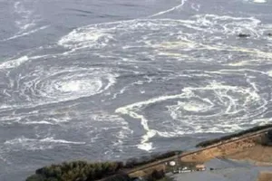 Ảnh minh họa cảnh báo sóng thần ở Mỹ. Ảnh: REUTERS