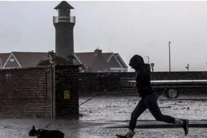 Đức sắp ra luật buộc dắt chó đi dạo hai lần trong ngày