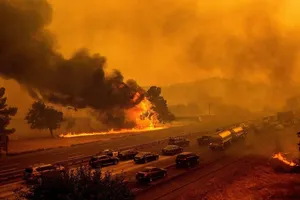 Bé trai ôm chó cưng thiệt mạng trong đám cháy ở California 