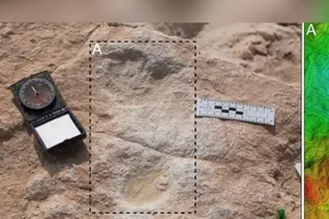 Tìm thấy dấu chân người cách đây 120.000 năm ở sa mạc
