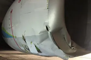 Máy bay chở khách hỏng nặng sau khi đâm chết gấu