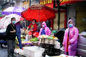 Trung Quốc chịu trách nhiệm chính điều tra nguồn gốc COVID-19