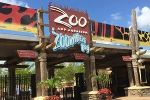 Nhân viên vườn thú bị báo tân công vì ám mùi hươu cao cổ