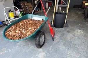 Nghỉ việc, được nhận lương là đống tiền xu trộn dầu