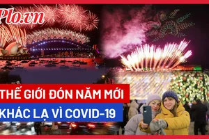 Video: Các nước trên thế giới đón chào năm mới như thế nào?